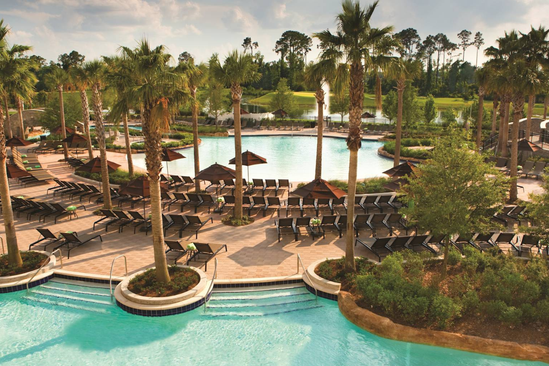 Overhead view of pool surrounded by palm trees, chairs, and umbrellas
