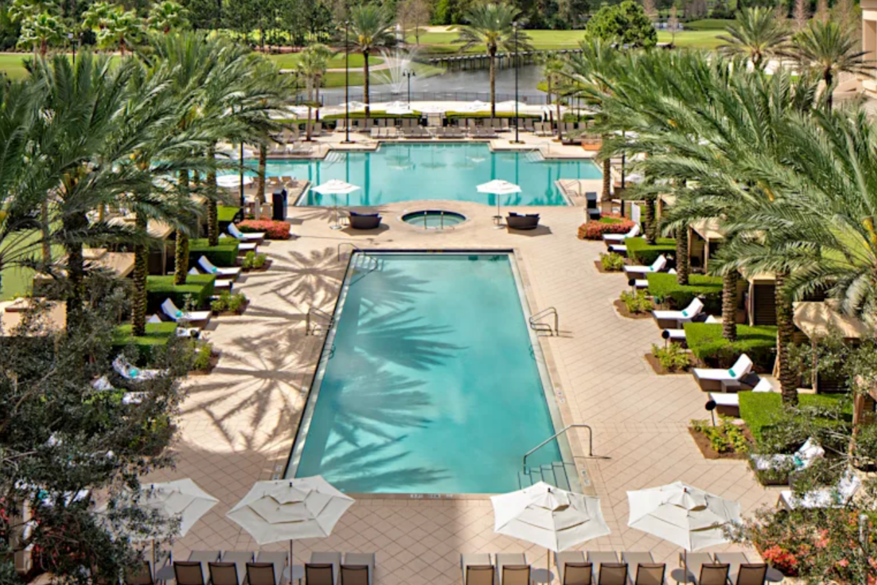 Above view of pool with palm trees on both sides